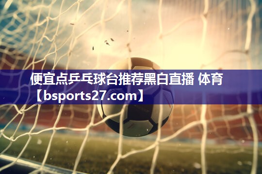 便宜点乒乓球台推荐黑白直播 体育