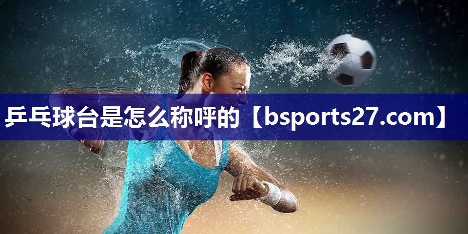 乒乓球台是怎么称呼的