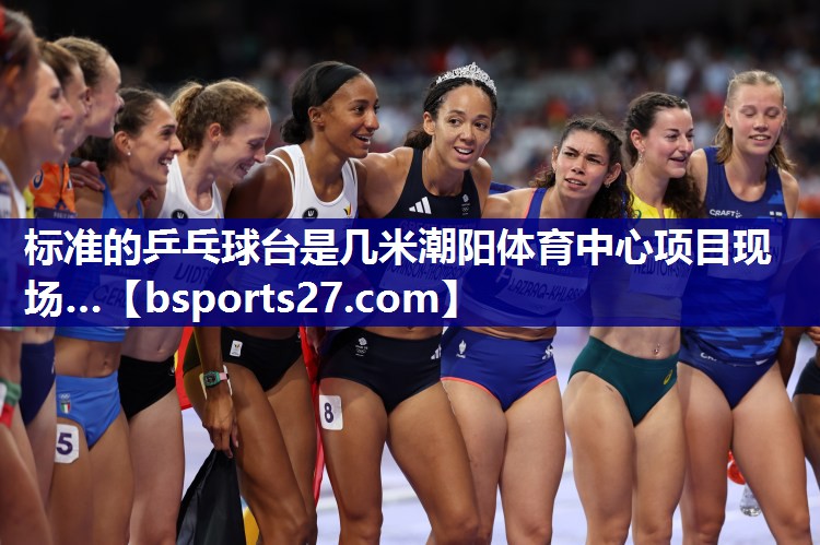 标准的乒乓球台是几米潮阳体育中心项目现场…