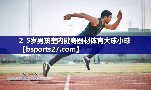 2-5岁男孩室内健身器材体育大球小球