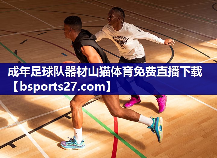 成年足球队器材山猫体育免费直播下载