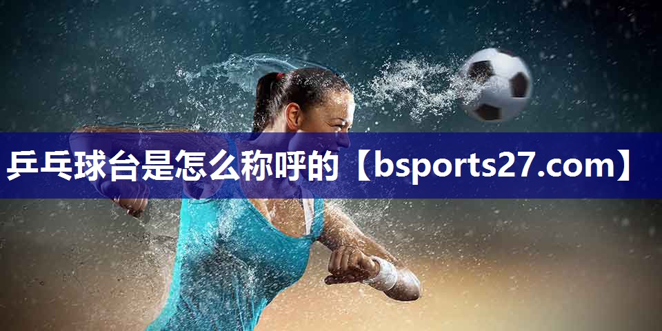 乒乓球台是怎么称呼的