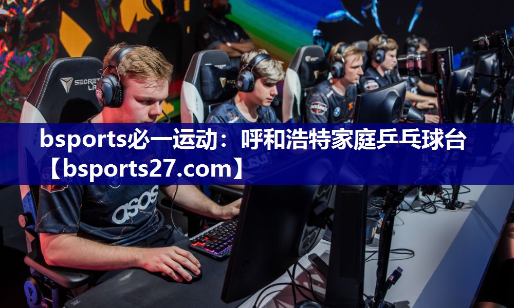呼和浩特家庭乒乓球台